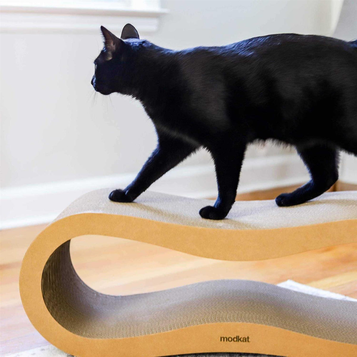 Cat Scratcher Lounge Set G48461