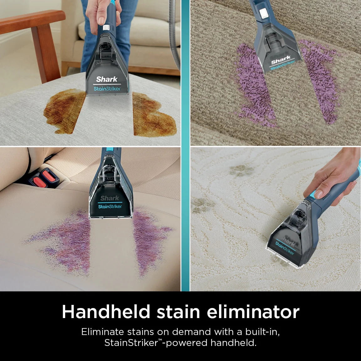 Portable Carpet & Upholstery Cleaner D798