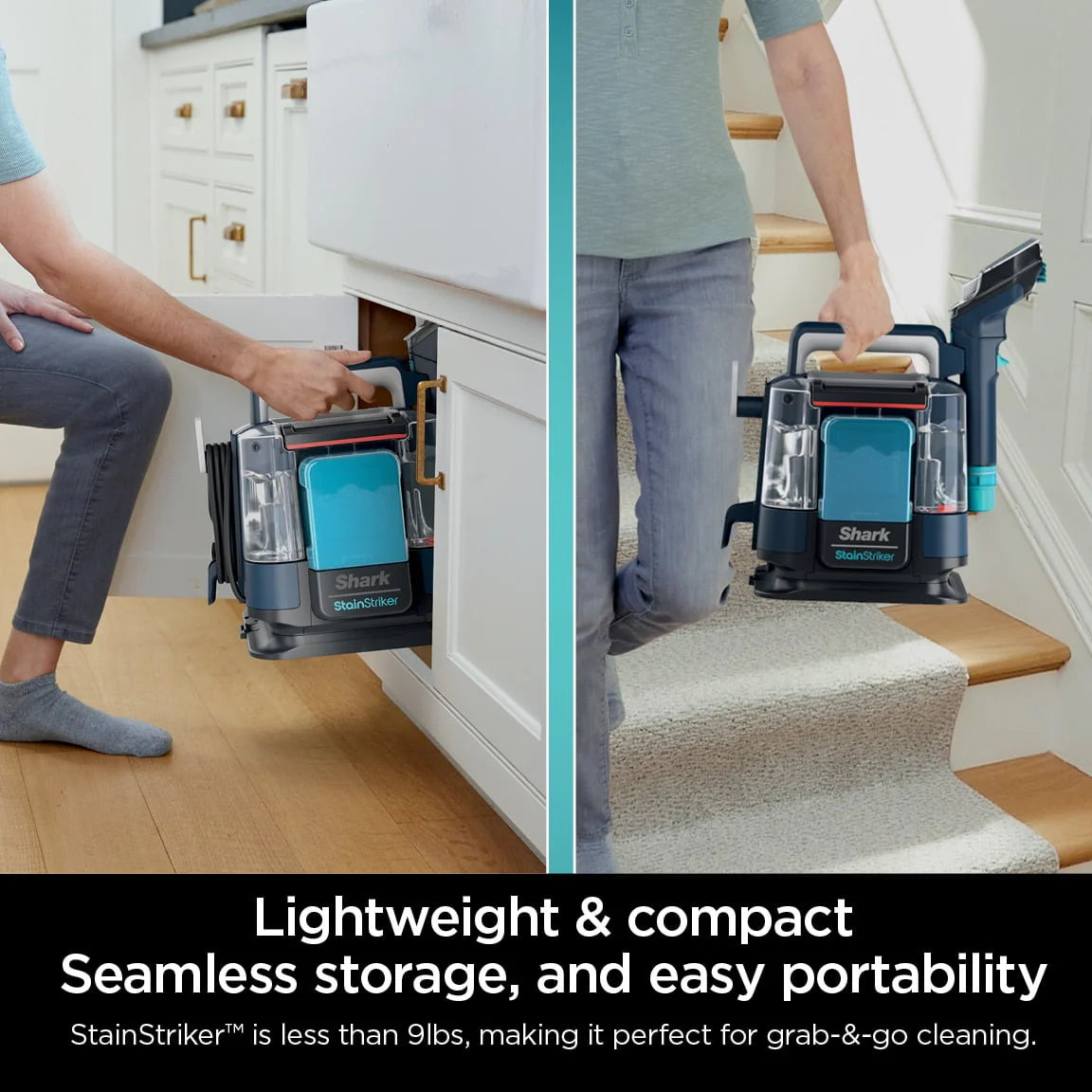 Portable Carpet & Upholstery Cleaner D798