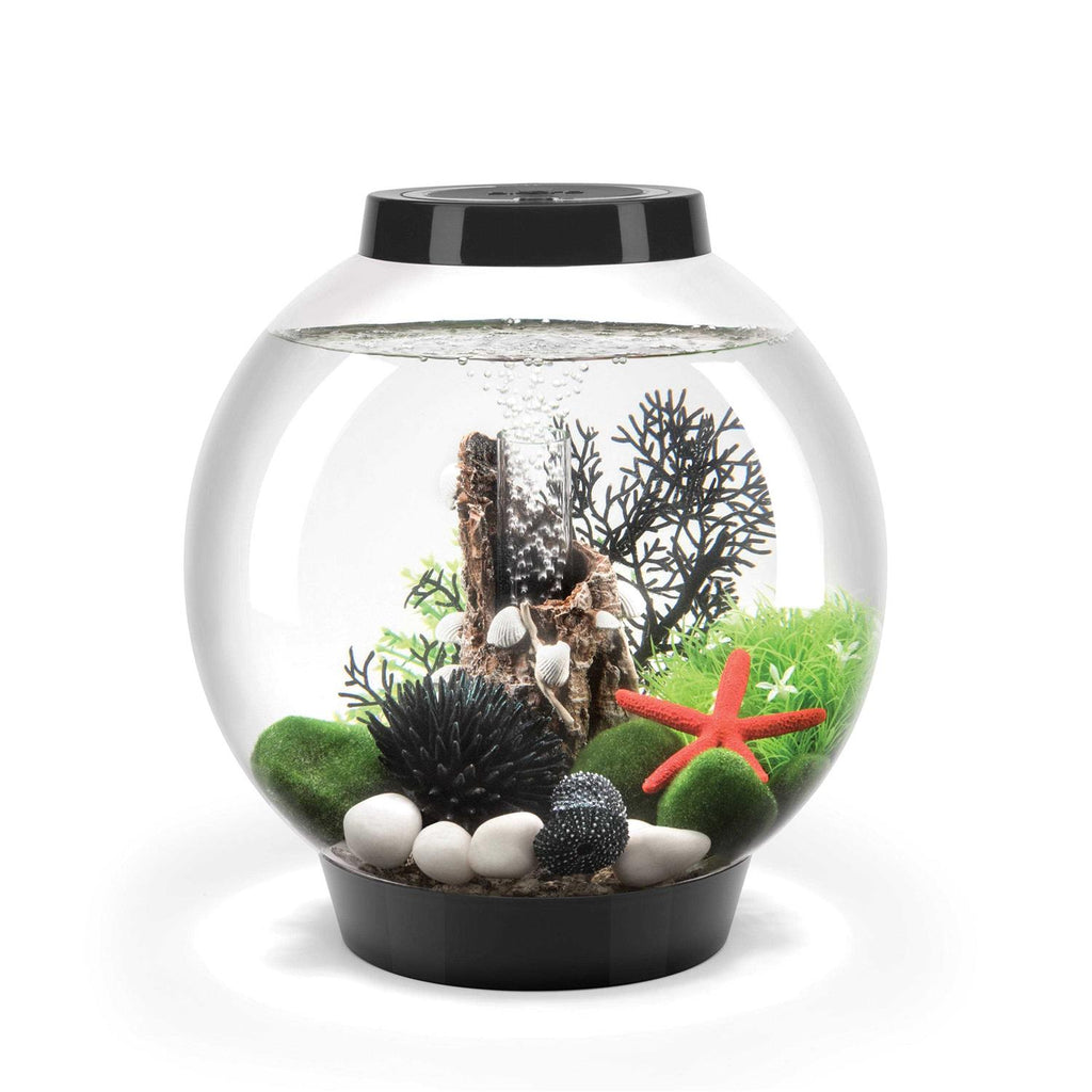 Home Goods P105