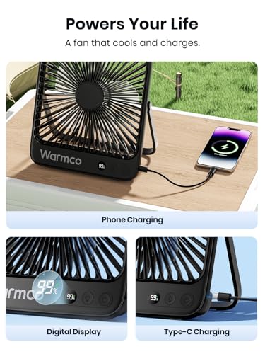 20000mAh 8-inch Portable Rechargeable Camping Desk Fan with LED Light P614