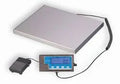 Medical Scale T113345