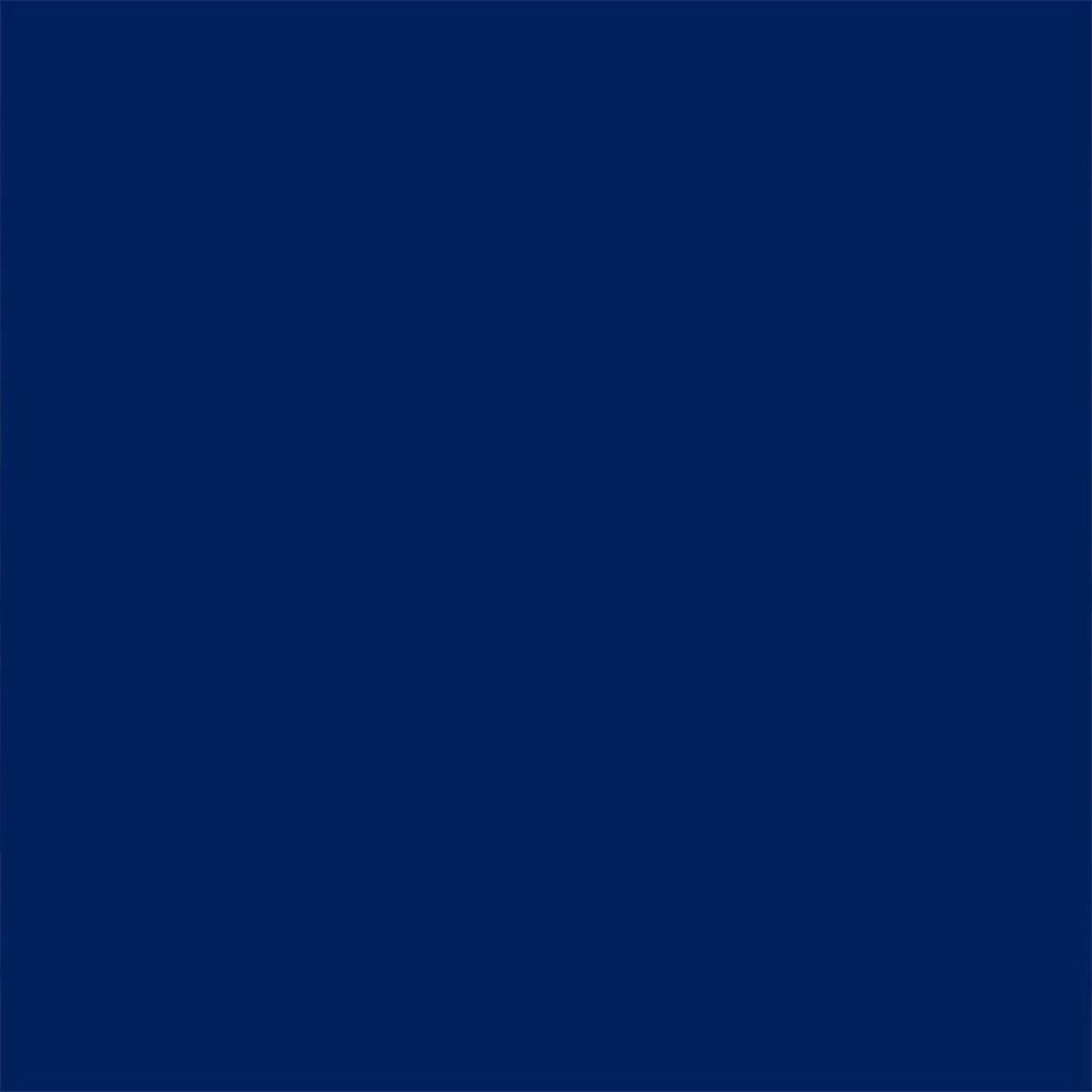 2.5 Thick Foam Pool Lounge Mat V90772