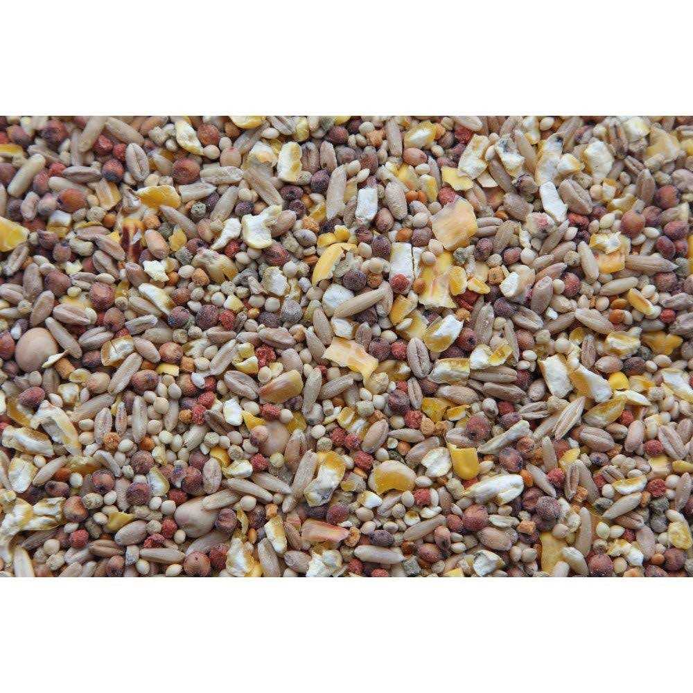 Dove Food T439