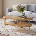 2-Tier Oval Coffee Table with Storage Shelf Y30282