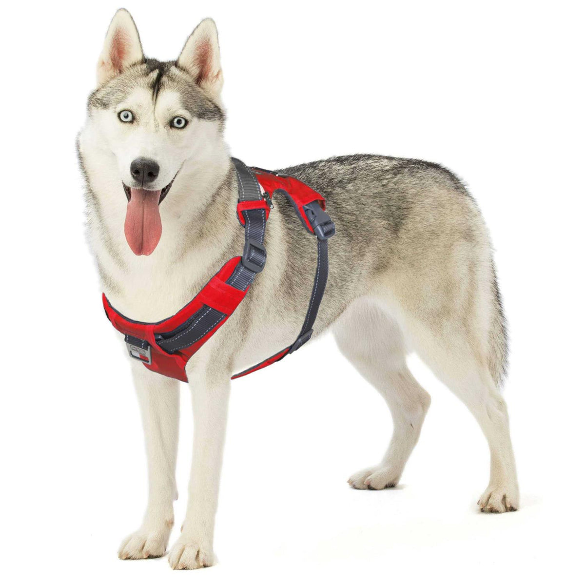 Adjustable Dog Harness with Pockets L6230