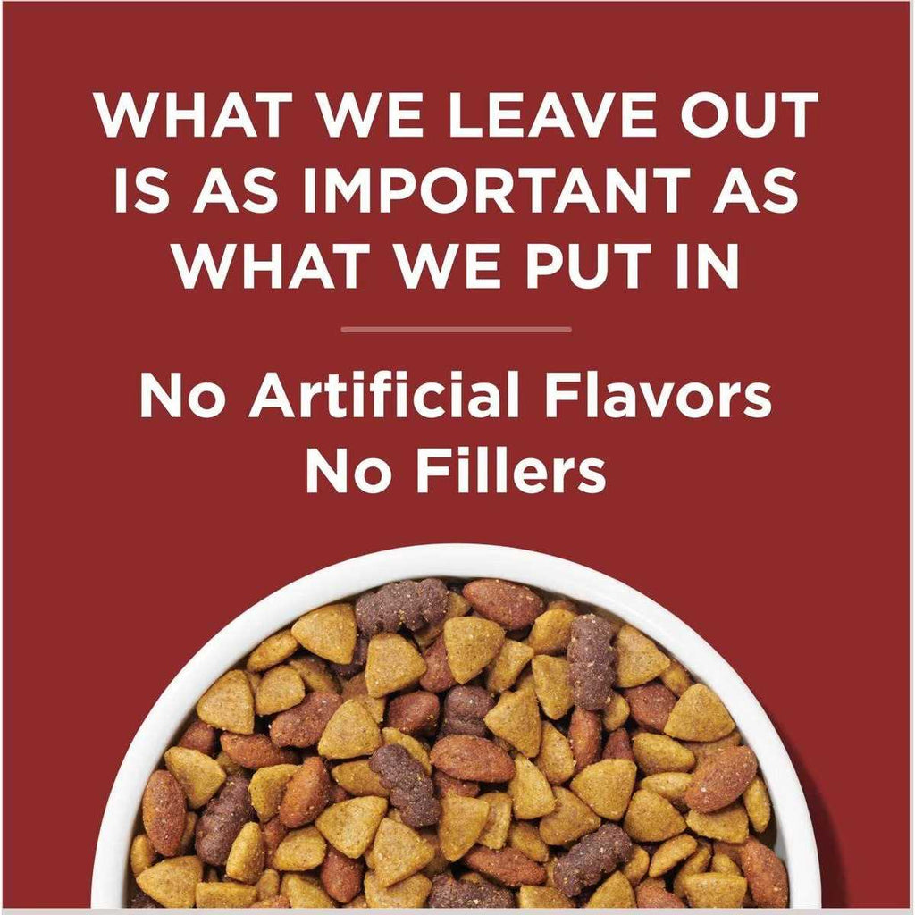 Adult Dry Dog Food Z173635