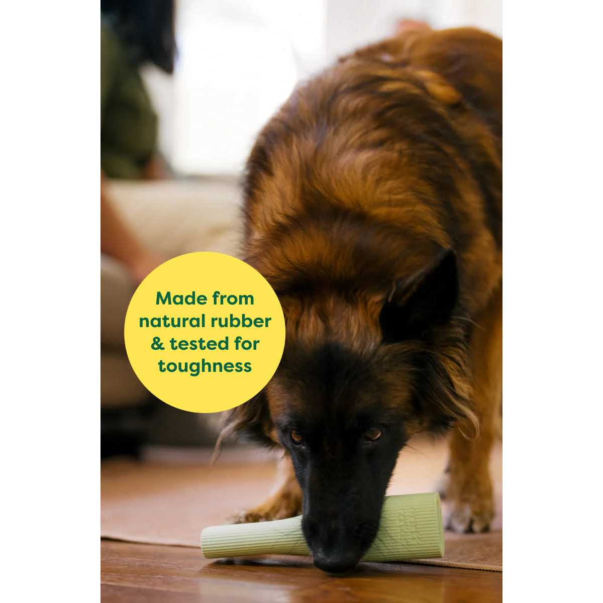 Rubber Chew Dog Toy W620