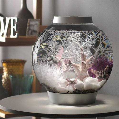 Home Goods P105