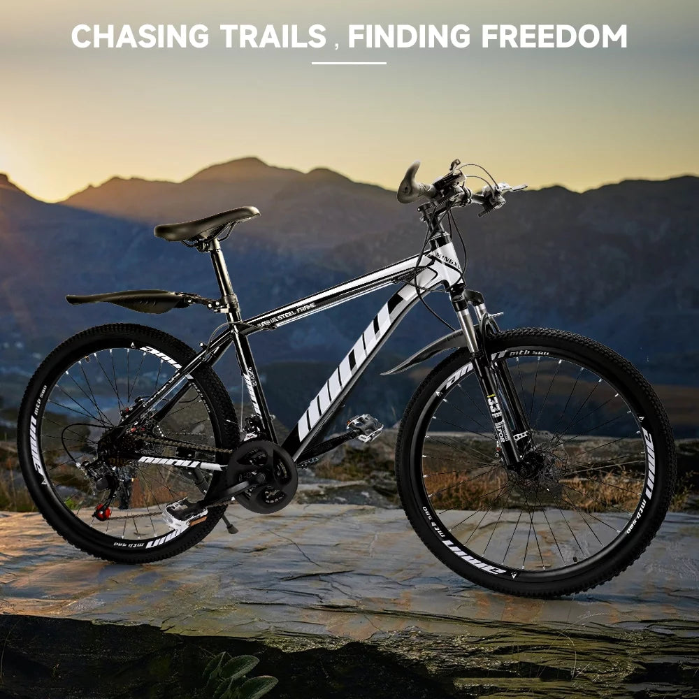 Full Suspension 21 Speed 26 inch Dual Disc Brake Mountain Bike B24656
