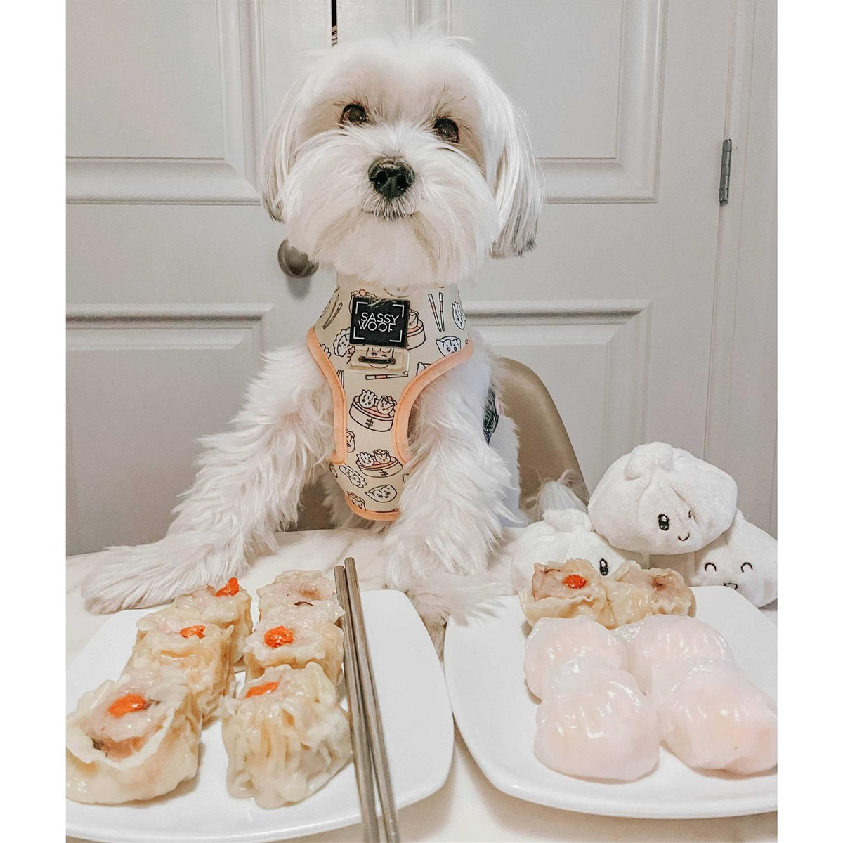 Reversible Dog Harness G9287