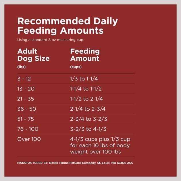 Adult Dry Dog Food Z173635