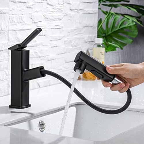 Single Hole Pull Out Bathroom Faucet with Rotating Spout J979