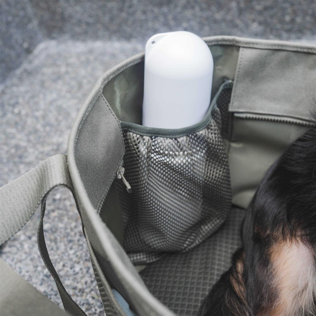 Canvas Lightweight Water Resistant Small Dog Carrier Y1351