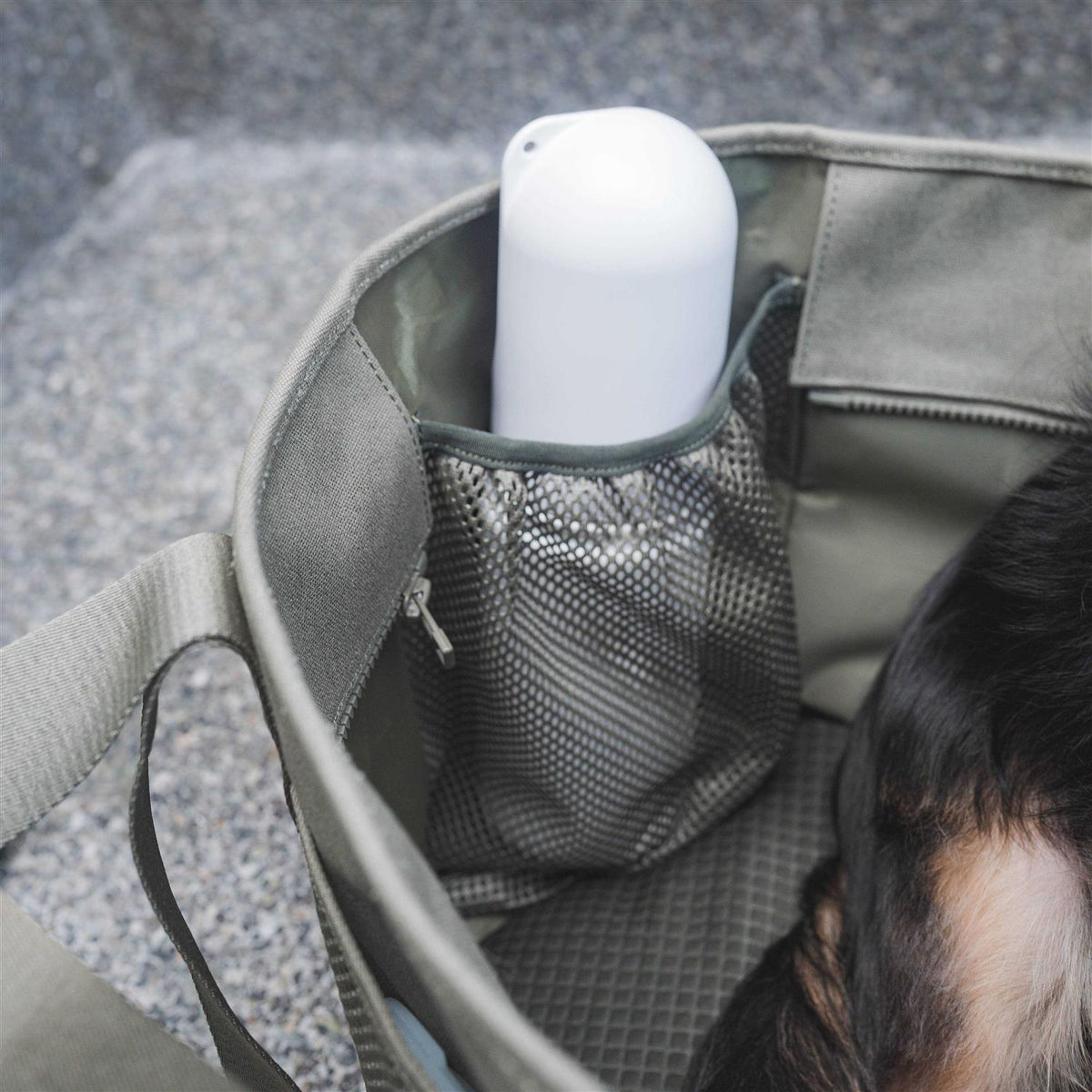 Canvas Lightweight Water Resistant Small Dog Carrier Y1351