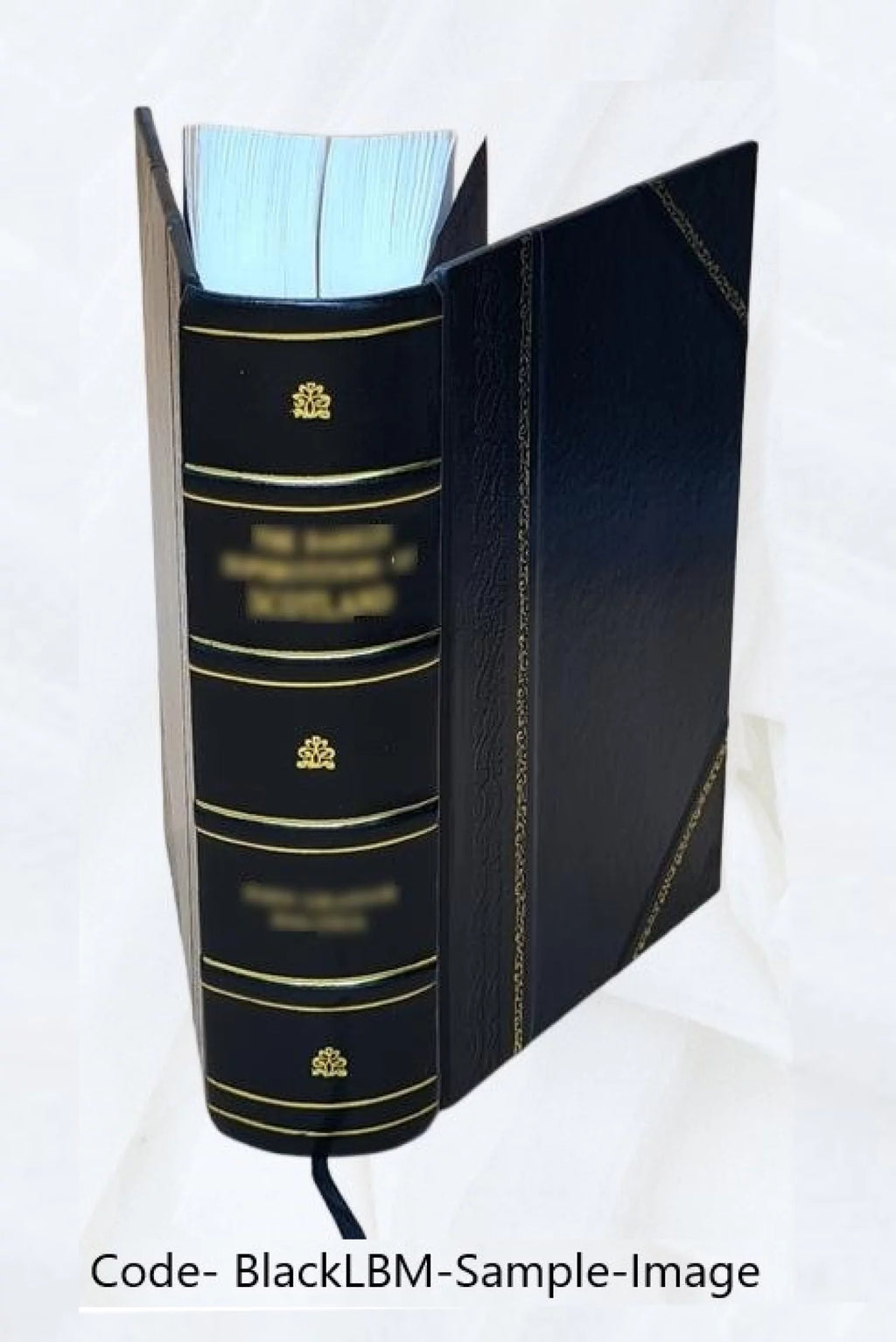 Law and Equity Abridgement Leather Bound S36467