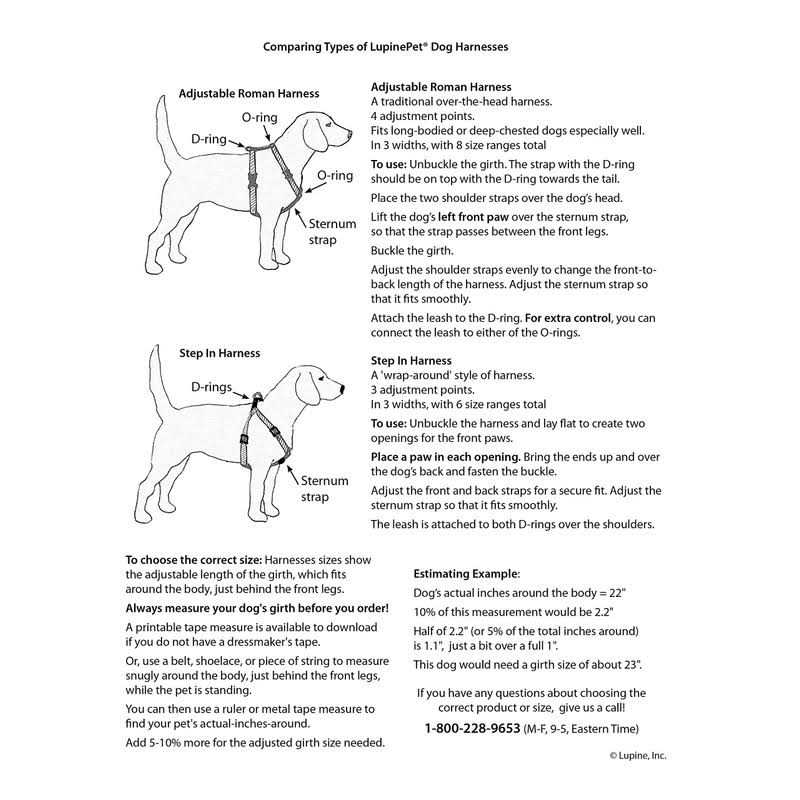 Dog Step in Harness I333090