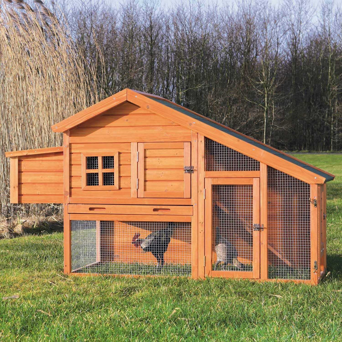 Chicken Coop H8404