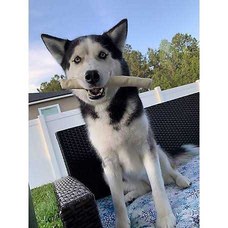 All Natural Rawhide Rolls Dog Chew Treats F464