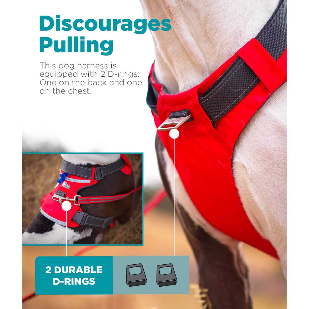 Adjustable Dog Harness with Pockets L6230