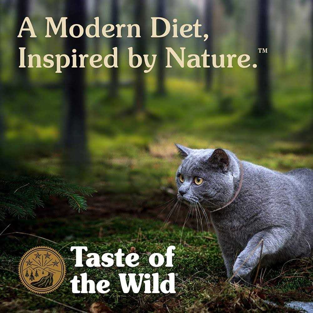 Cat Food C88967