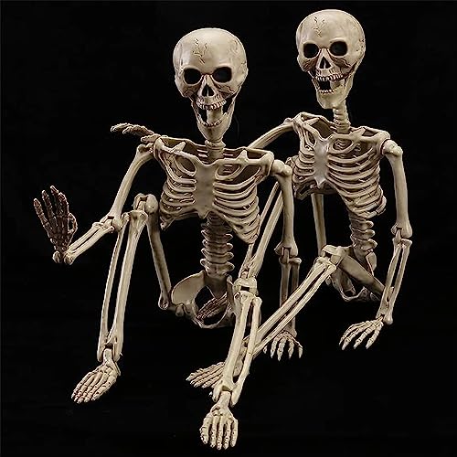 2 Pack 40 Inches Halloween Skeleton Full Body Posable O741