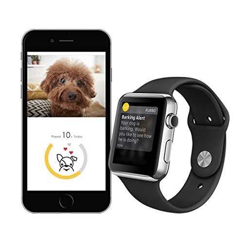 Dog Camera Z551