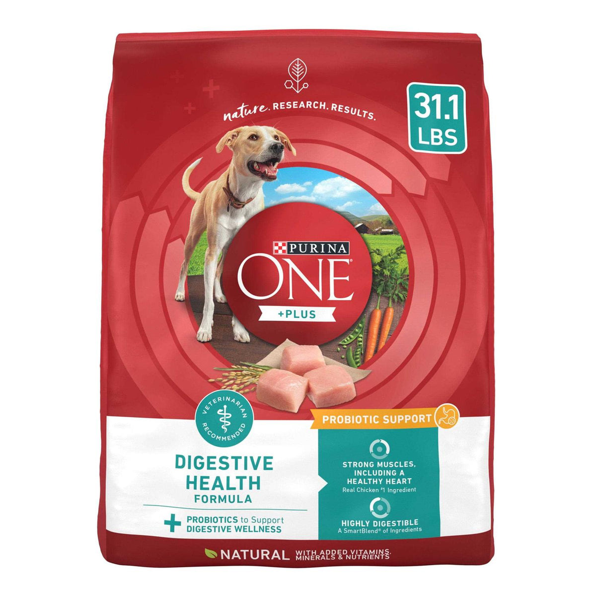 Dry Dog Food F250001