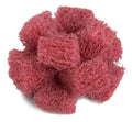 Buff and Blend Cross Buff A8855