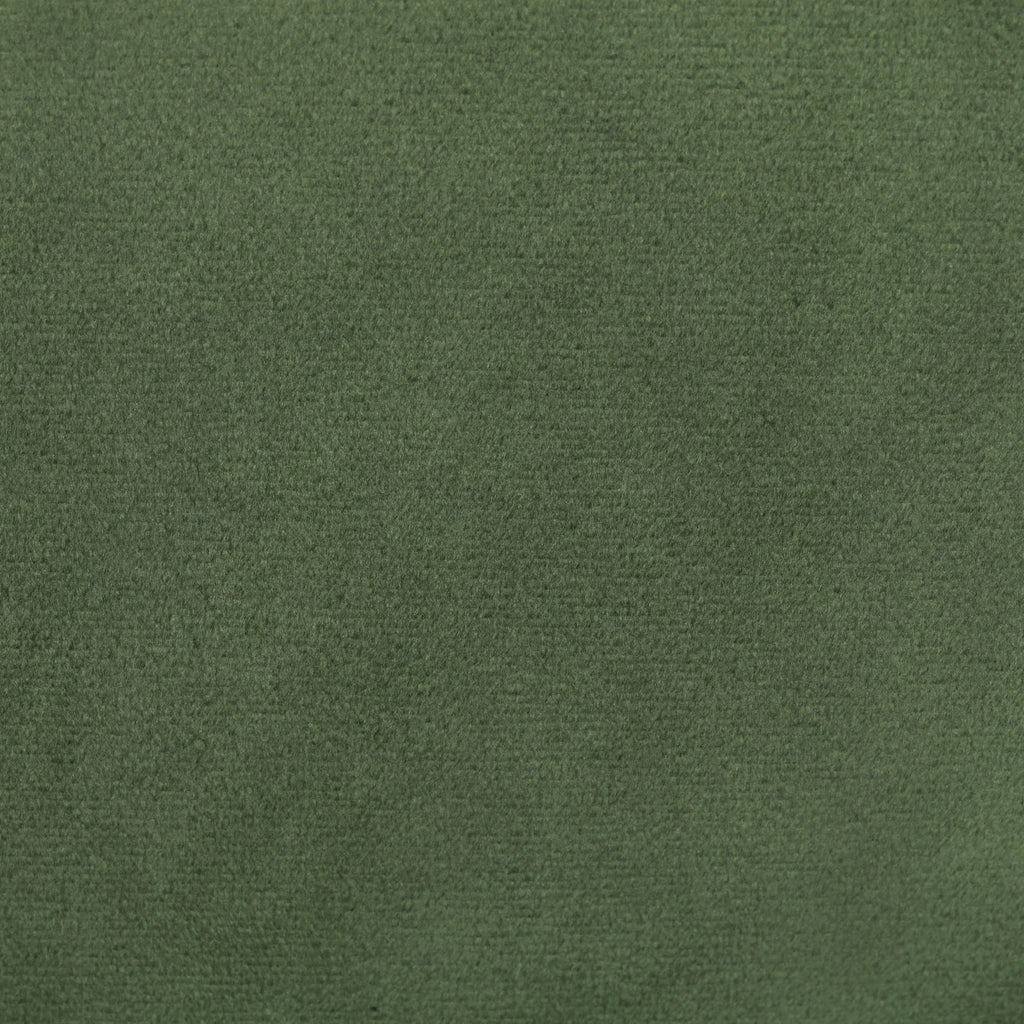 Evergreen Velvet Room Darkening Curtain Panel Pair with Rod Pocket C9967