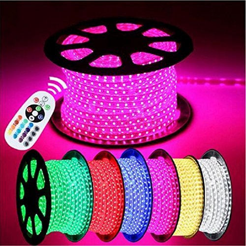110V SMD5050 LED Strip Light with Connector 30 FT R808