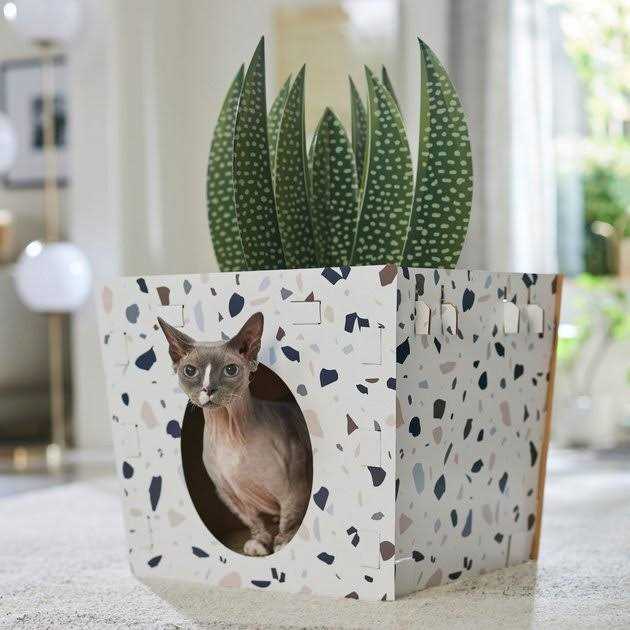 Cardboard Cat House D439