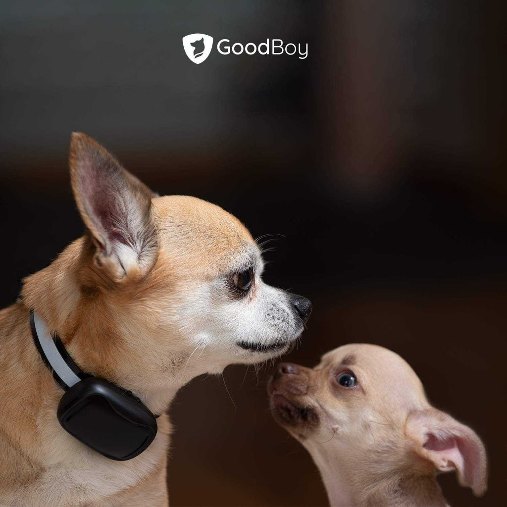 Mini No Shock Remote Collar for Dogs with Beep and Vibration Modes V8417