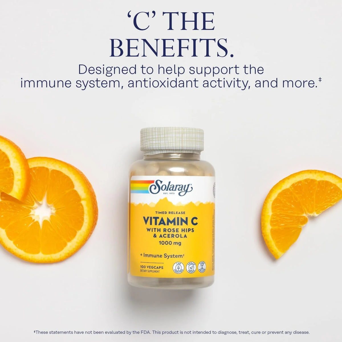 Vitamin C 1000mg Timed Release Capsules with Rose Hips & Acerola Bioflavonoids, 100 VegCaps I9653