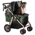 Pet Stroller R9730