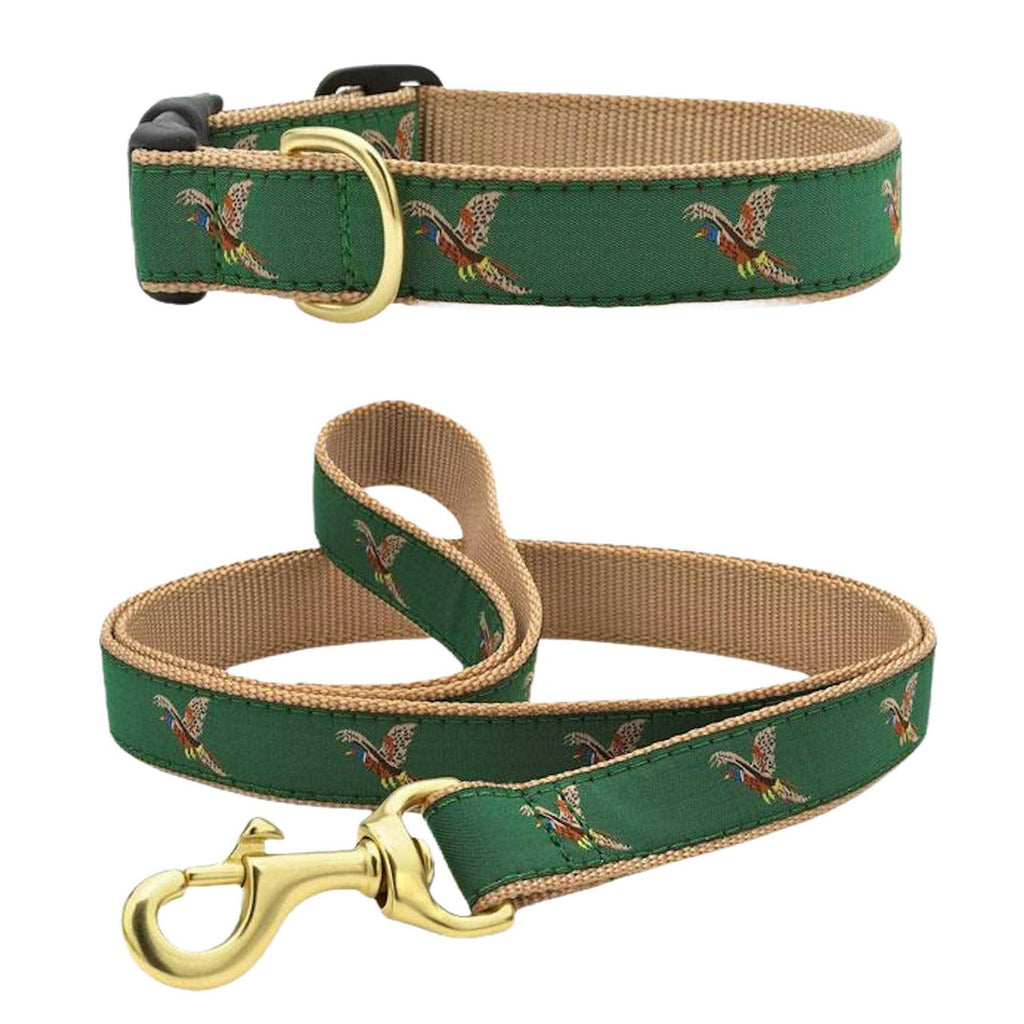 Dog Collar I960