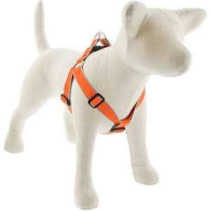 Dog Step in Harness I333090