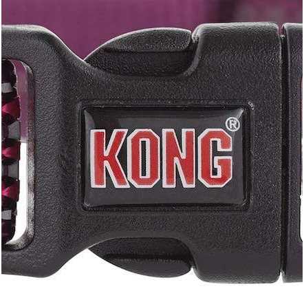 Neoprene Padded Dog Collar N63011