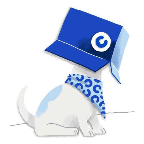 Dog Food Z34121