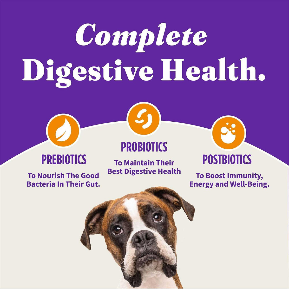 Chicken & Chicken Liver Adult Dry Dog Food O767316
