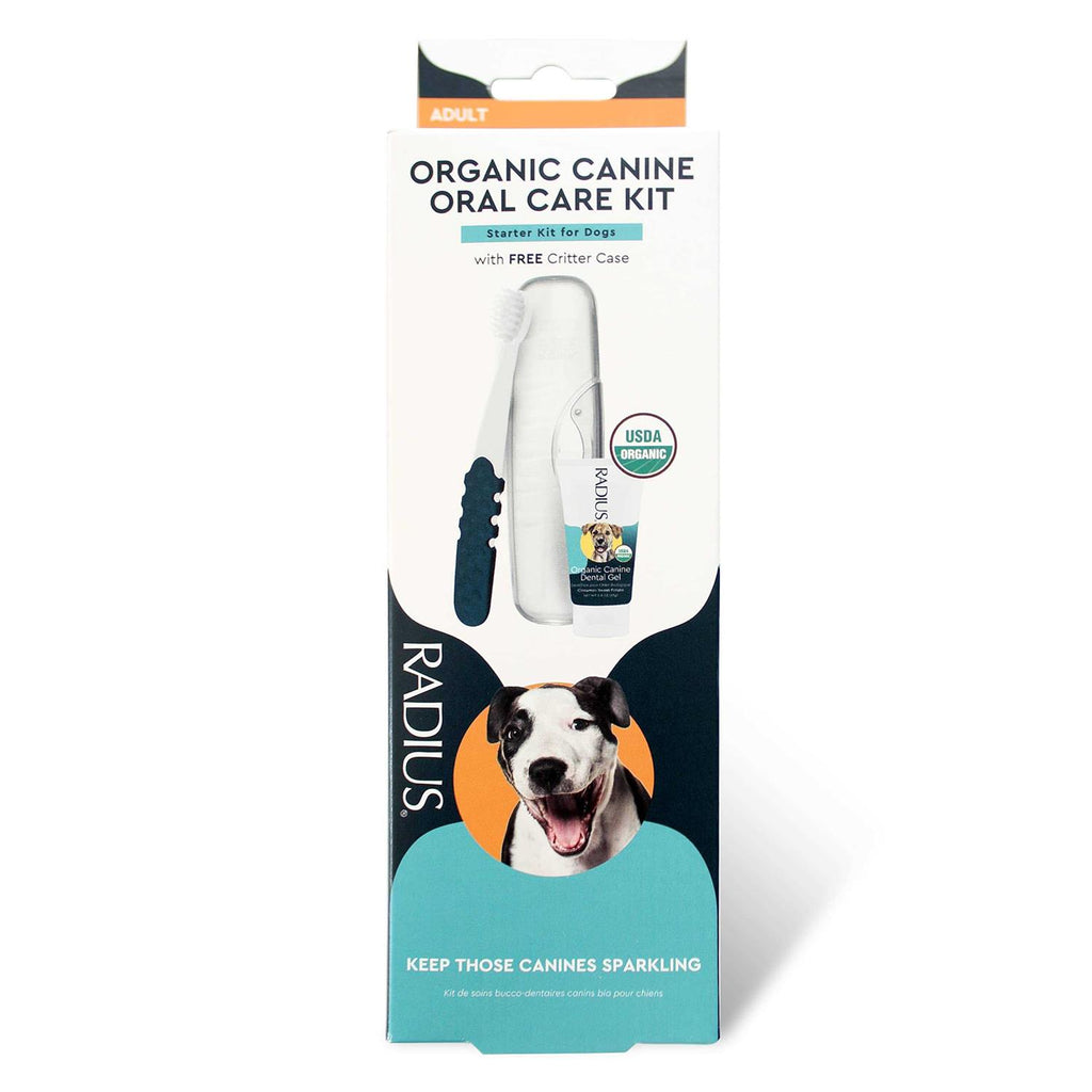 Adult Dental Kit T138