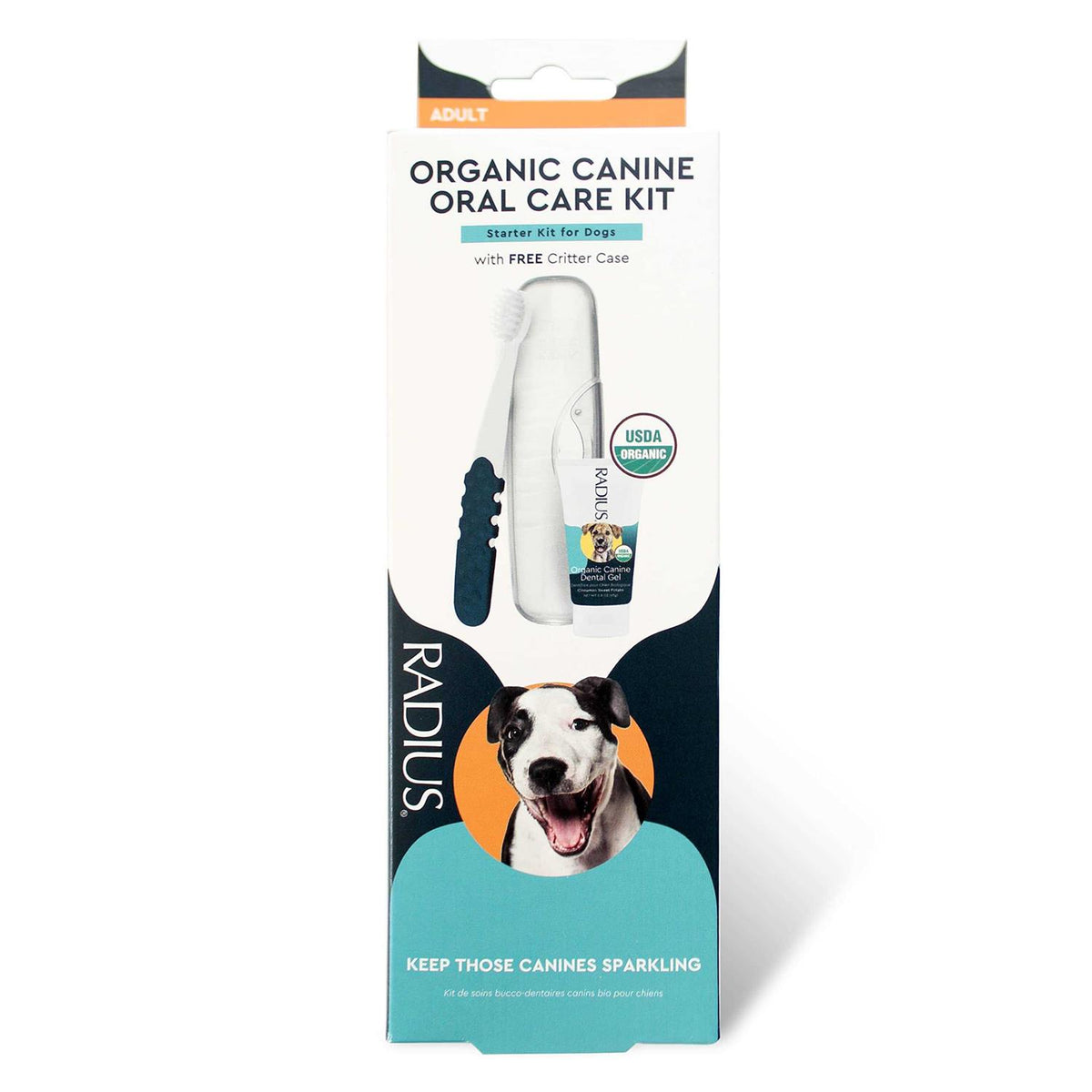 Adult Dental Kit T138