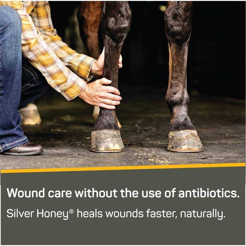 Rapid Wound Repair Ointment R1119