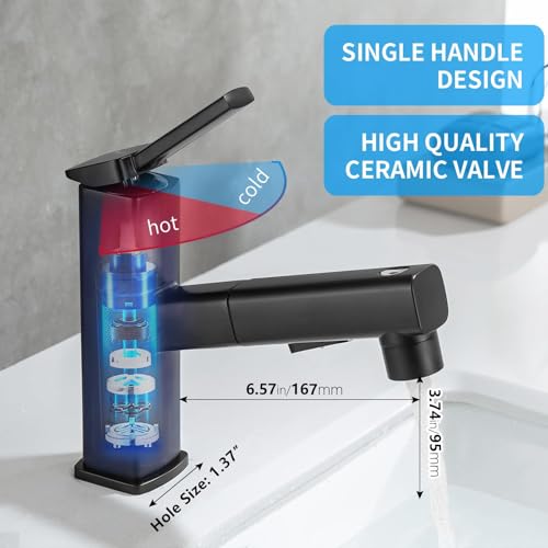 Single Hole Pull Out Bathroom Faucet with Rotating Spout J979