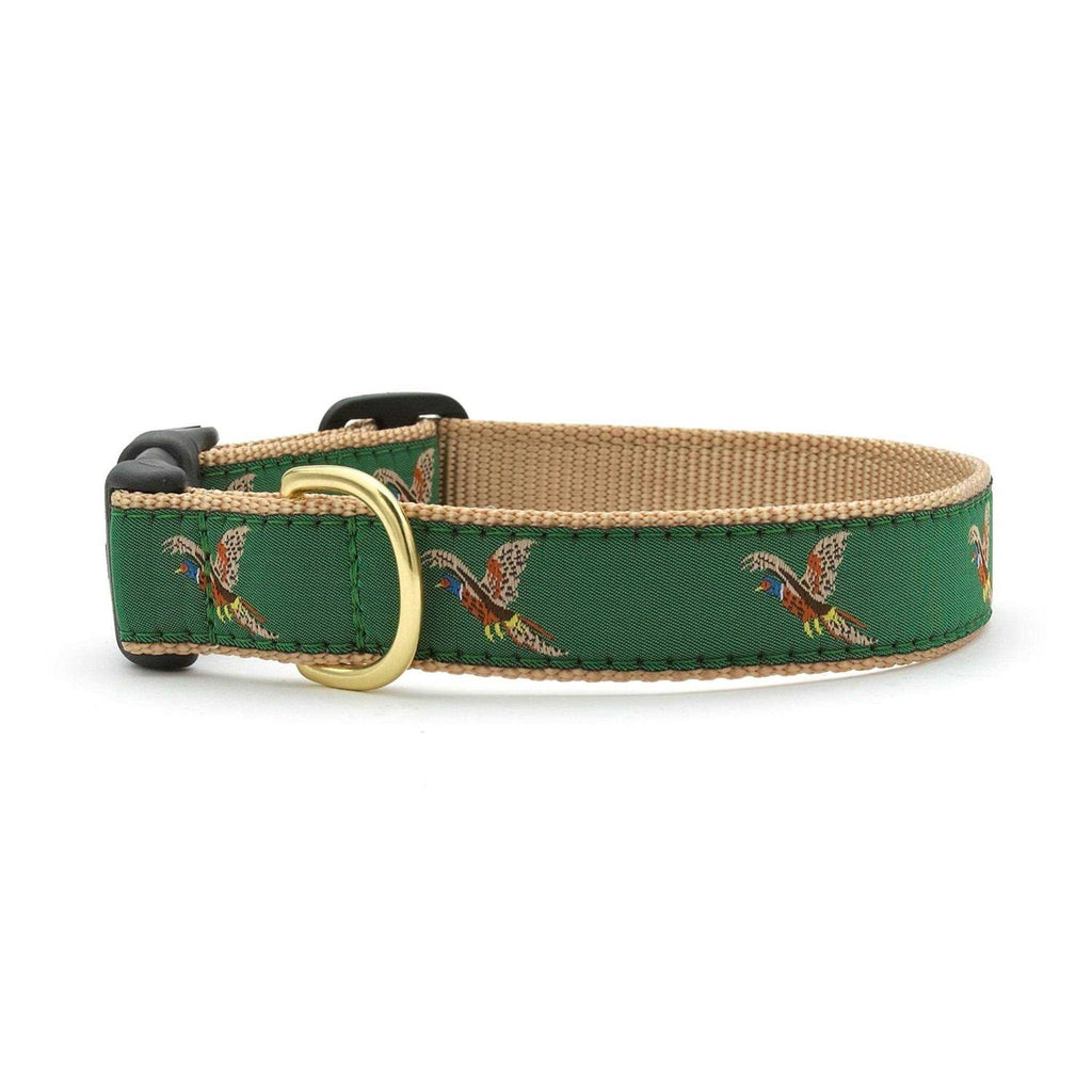 Dog Collar I960