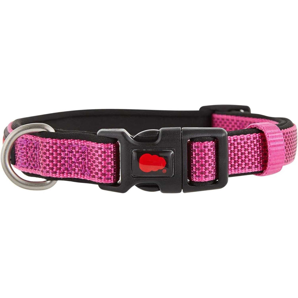 Neoprene Padded Dog Collar N63011
