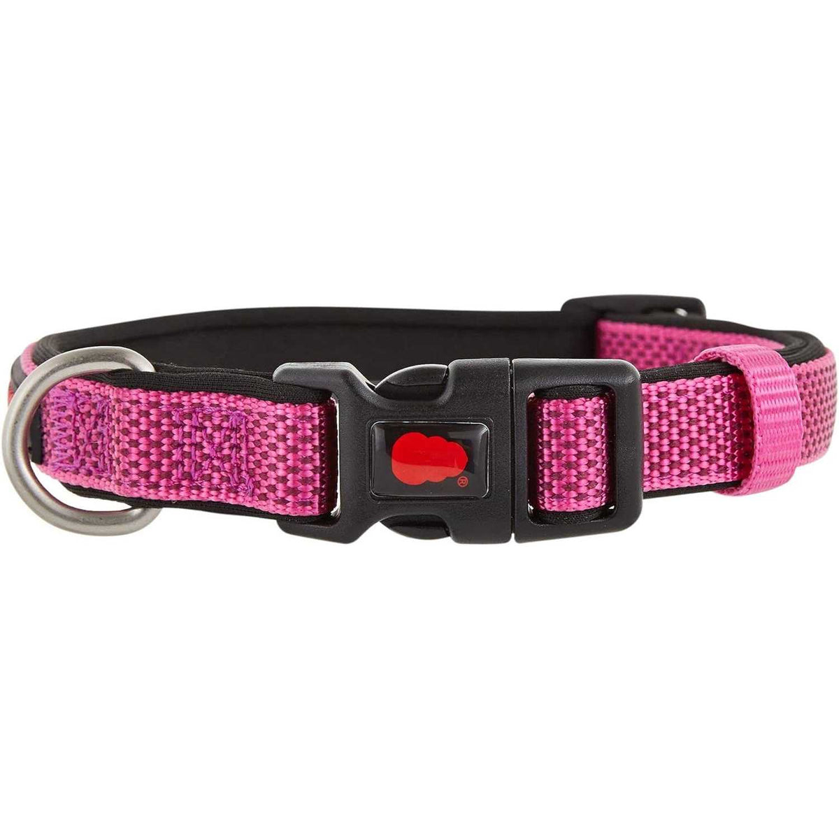 Neoprene Padded Dog Collar N63011