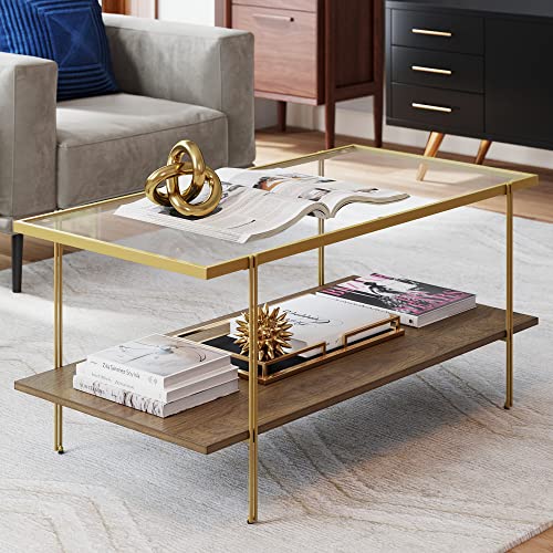 2-Tier Oval Coffee Table with Storage Shelf Y30282