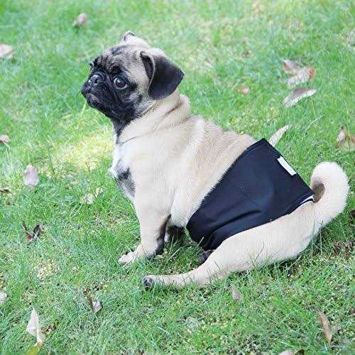 Washable Dog Diapers Male Dog Belly Wrap W8459