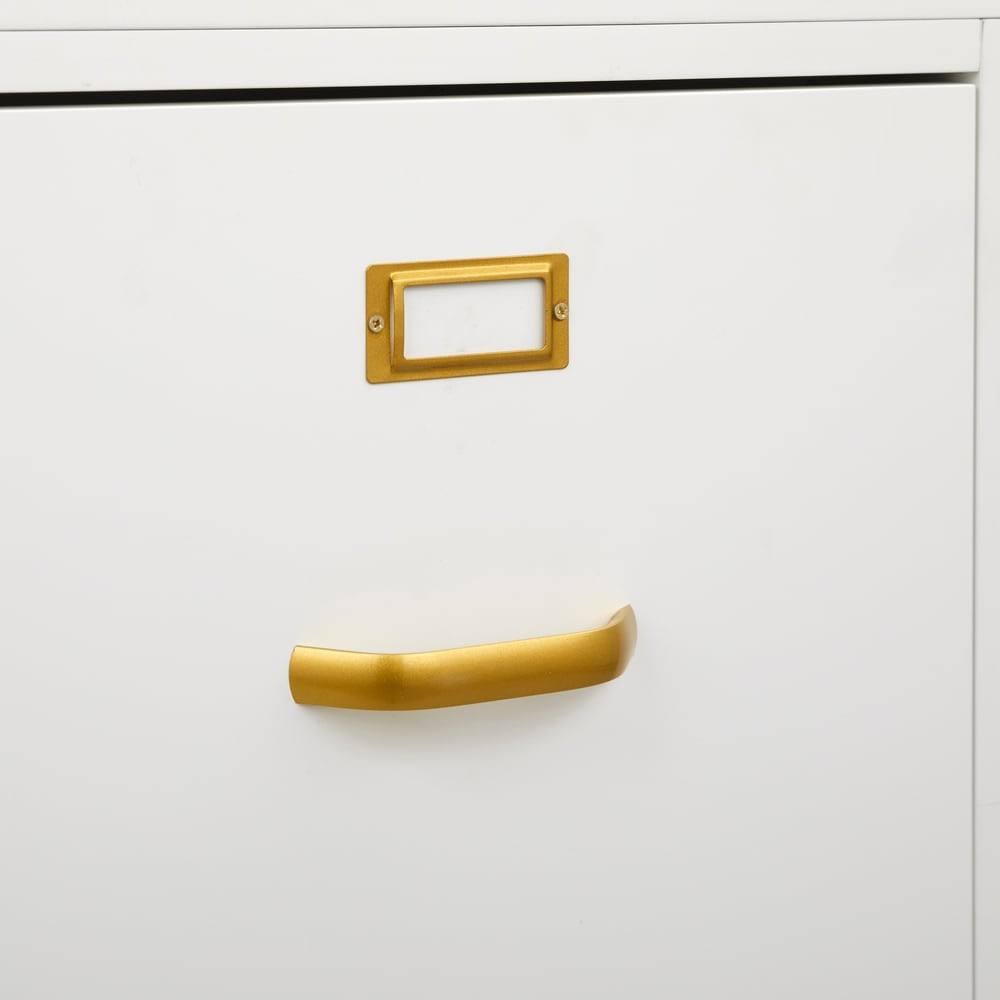 2-Drawer File Cabinet N702098